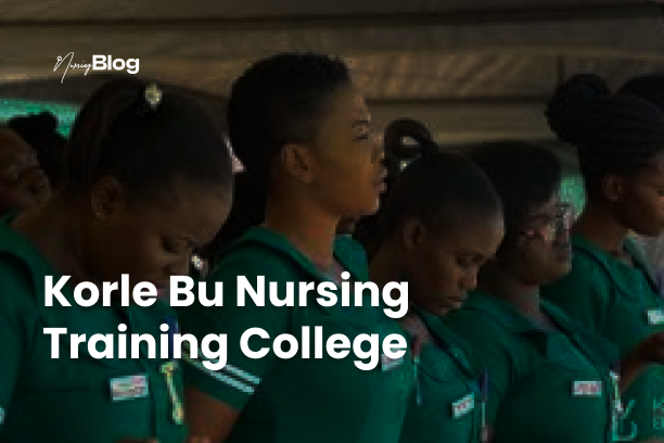 Korle Bu Nursing Training College: Academics Programmes 