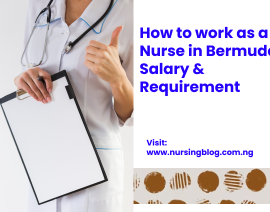 How to work as a Nurse in Bermuda: Salary & Requirement