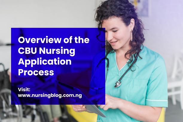 Overview of the CBU Nursing Application Process
